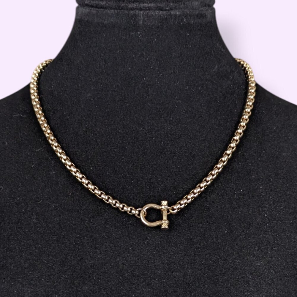 (2/$20) Horseshoe Accent Belcher Chain Necklace